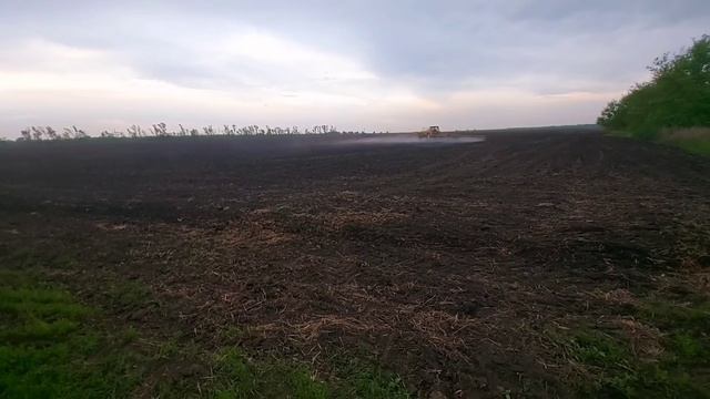 обработка гербицидом подсолнуха до всходов!