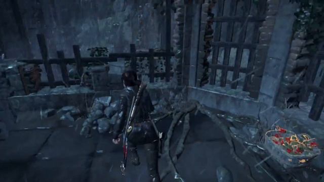 Rise Of The Tomb Raider - LOW FPS !!