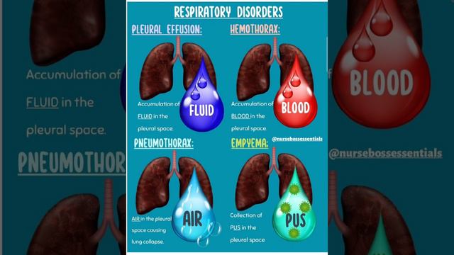 Заболевания органов дыхания (Respiratory Disorders).