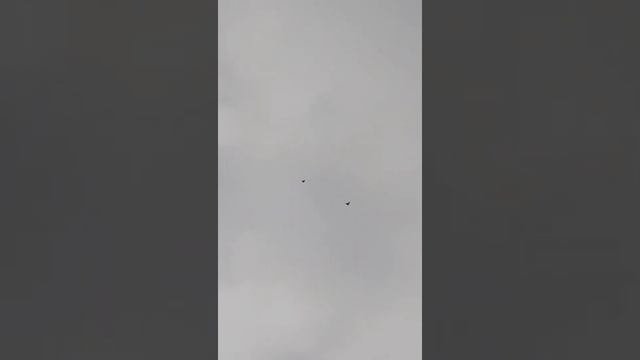 Ветер северный