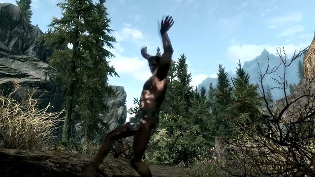 Nice job Bethesda...