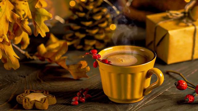 счастливого ноября джаз ☕ элегантный осенний джаз и босса-нова для работы, учебы и отдыха