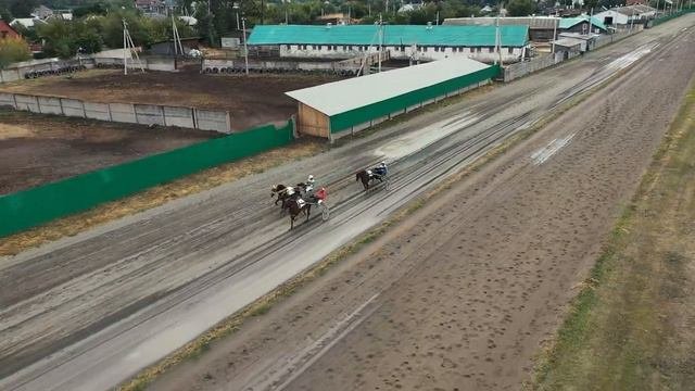 20.08.2022г Абакан Групповой заезд Рысистых пород 4-х лет  1600м