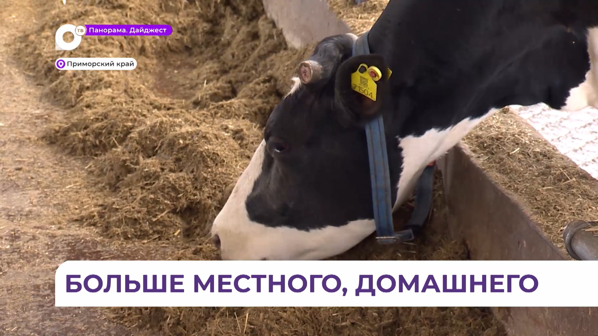 40 миллионов рублей могут получить аграрии Приморья на создание семейной фермы