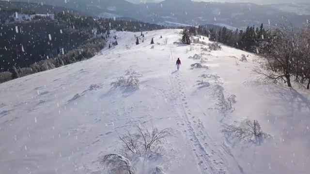 ❄Beautiful Winter Snow Scene Relaxing Piano Music - Soothing Calming Sleep Meditation Study Music 2