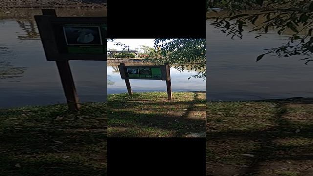 мы в зоопарке