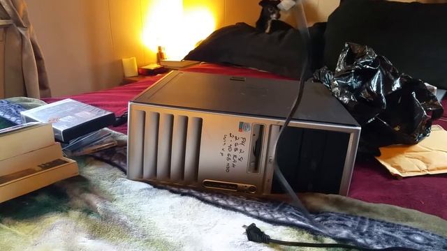Thrift Store Finds and a Quick Unboxing
