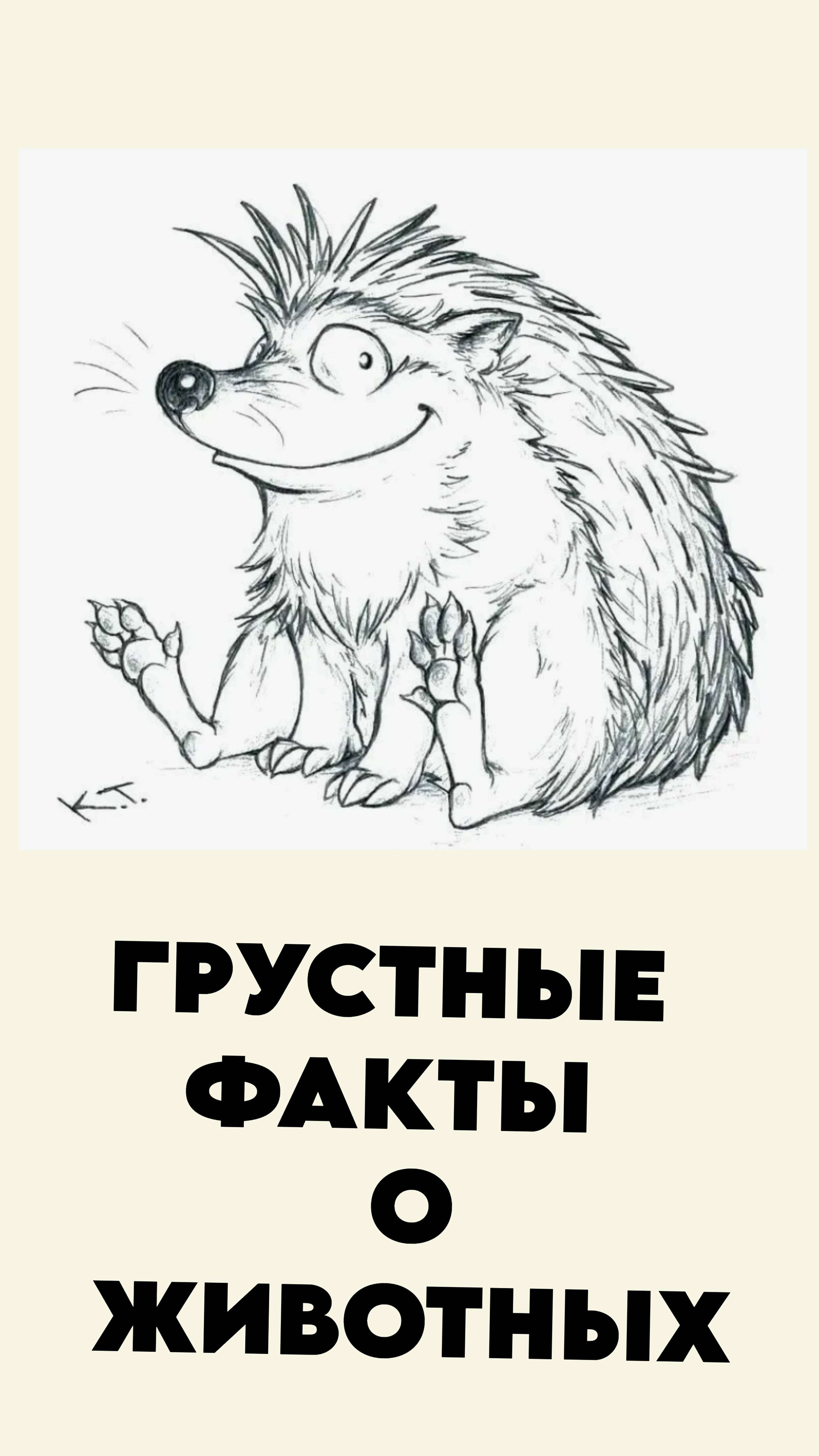 Грустные факты о животных 6