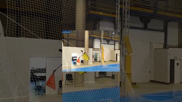 Доказательство,что Драконы могли реально существовать! Беспилотный дракон