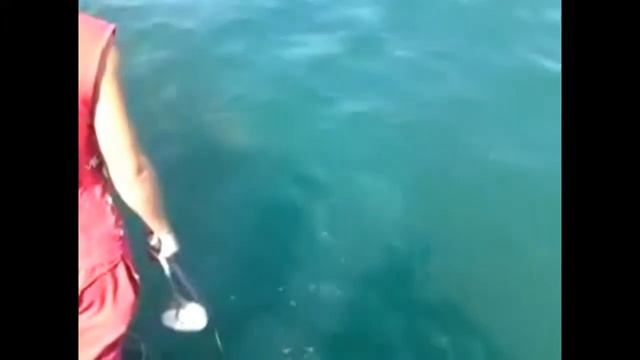 О морской рыбалке
