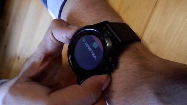 Garmin Fenix 5 Smartwatch Review