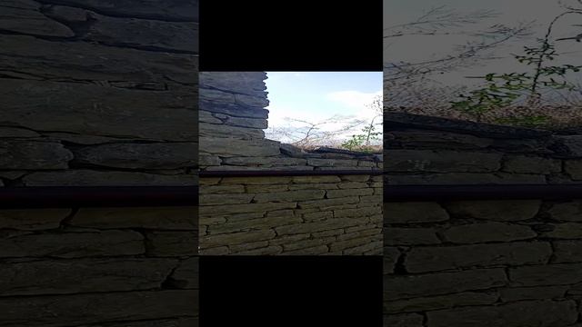 VID_20230802_164808.mp4