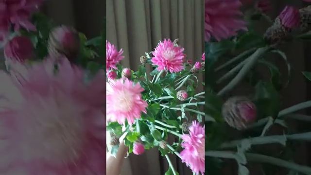Василек выбеленный из холодного фарфора