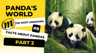 The most unknown facts about pandas. Part 2