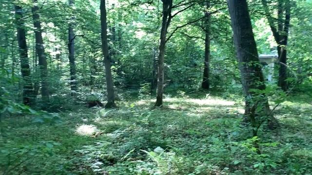 ПО СЛЕДАМ ШТУРМГЕВЕРА. КОП В КАЛИНИНГРАДСКОЙ ОБЛАСТИ Metal detecting