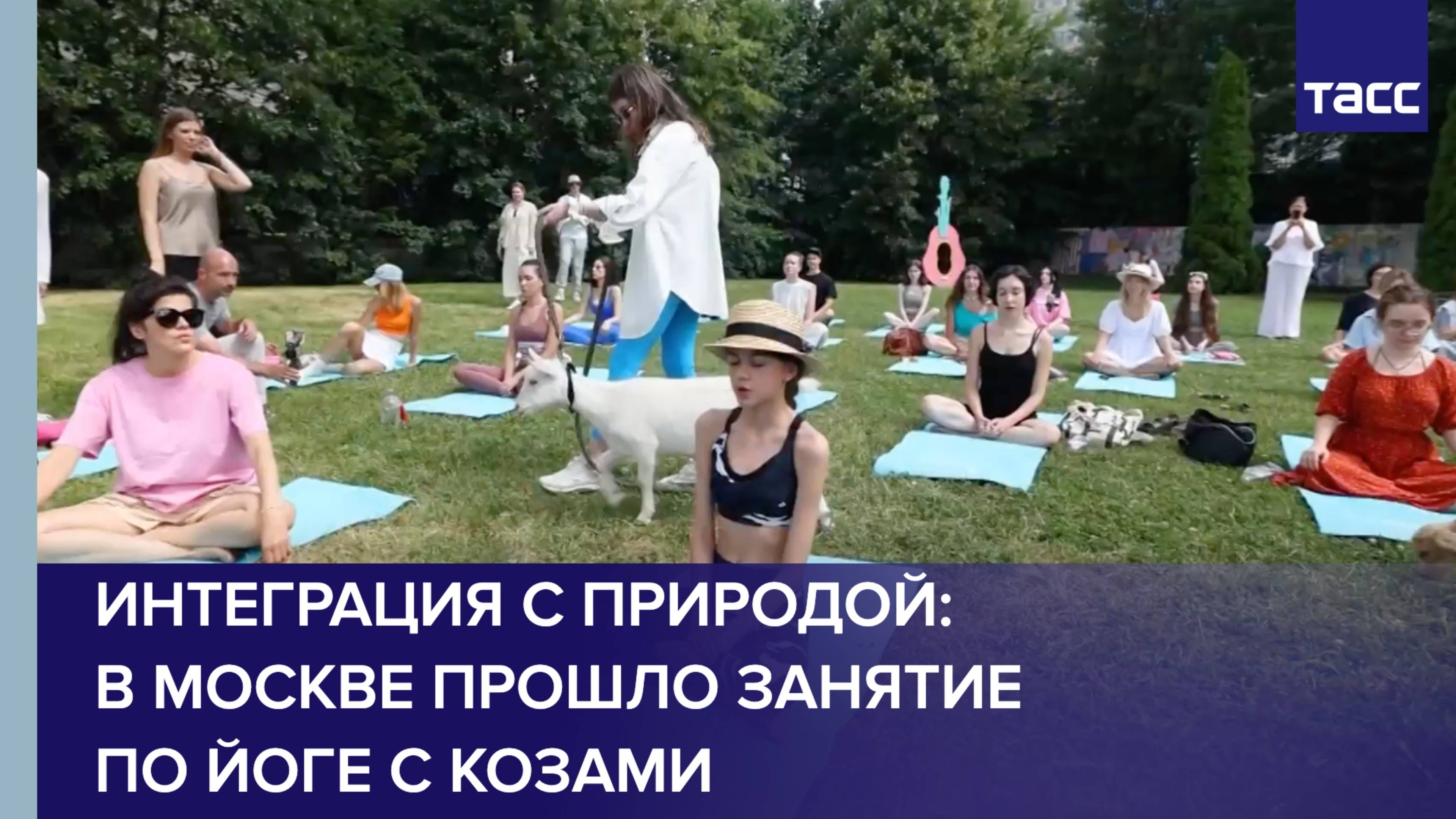 Интеграция с природой: в Москве прошло занятие по йоге с козами