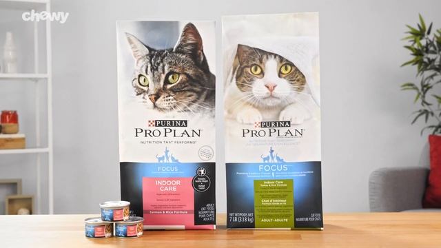 Purina Pro Plan Focus for Cats | Chewy