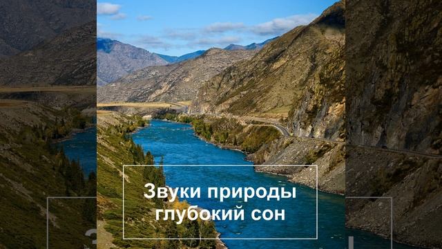 Тихий лес