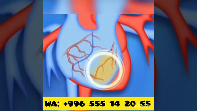 КУЭНЗИМ-Q10/ИНФАРКТ/ИНСУЛЬТ/ХОЛЕСТЕРИН/ЭНЕРГИЯ/ОМОЛОЖЕНИЕ/БИШКЕК 🇰🇬