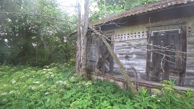 Заброшенные дома в Псковской области.