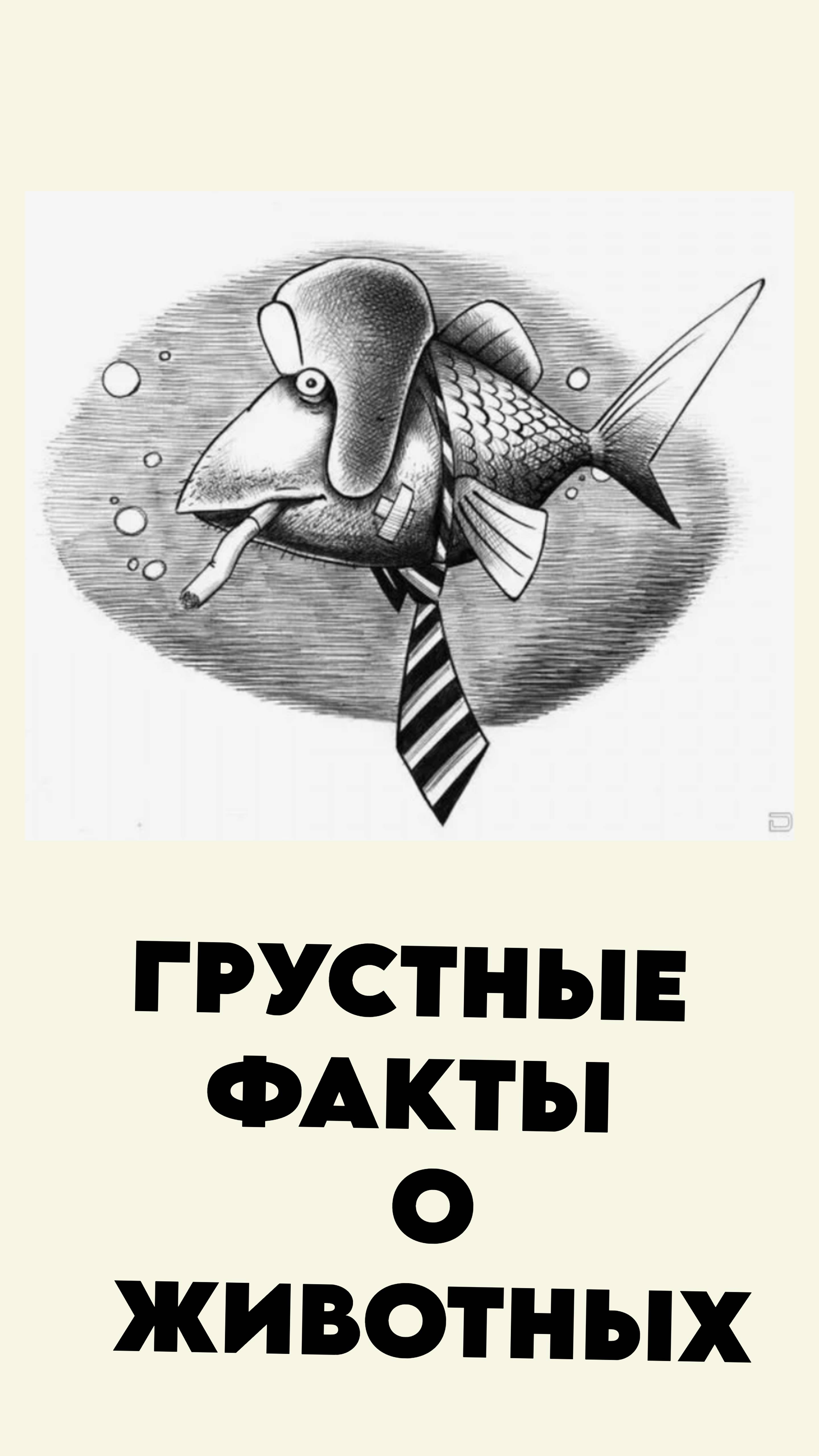 Грустные факты о животных 12