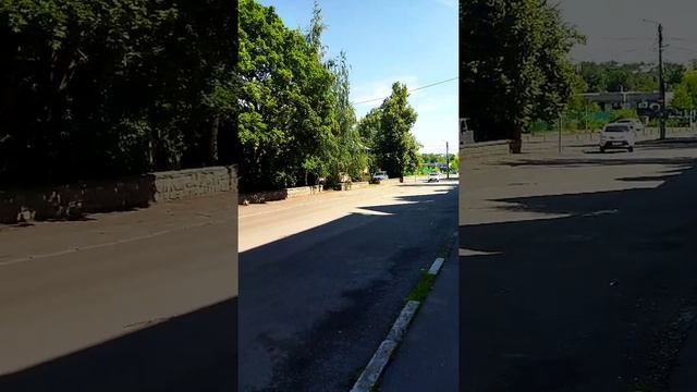 Зайцы летающие. И вообще.