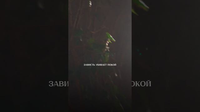 Перечитайте все строчки заново