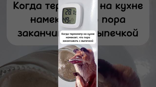 Тонкий намёк от термометра.mp4
