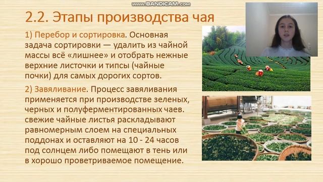 Аблякимова Камелия Исследование химического состава и показателей зелёного и чёрного чая