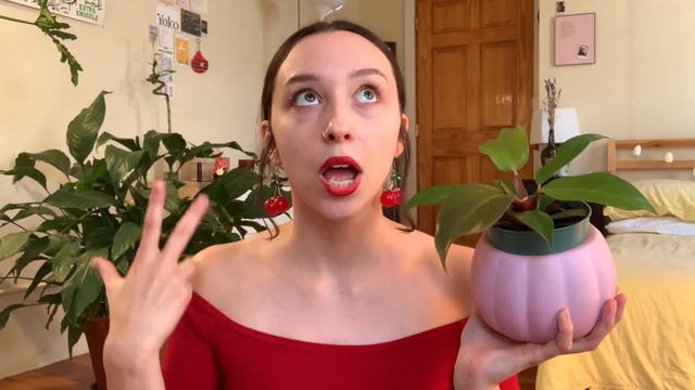 MY SPOOKIEST HOUSEPLANTS | Spooky Week 👻