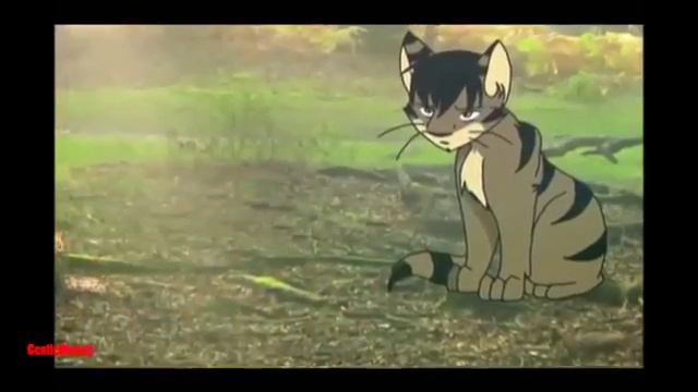 Коты Воители - "Ежевика и Белка"