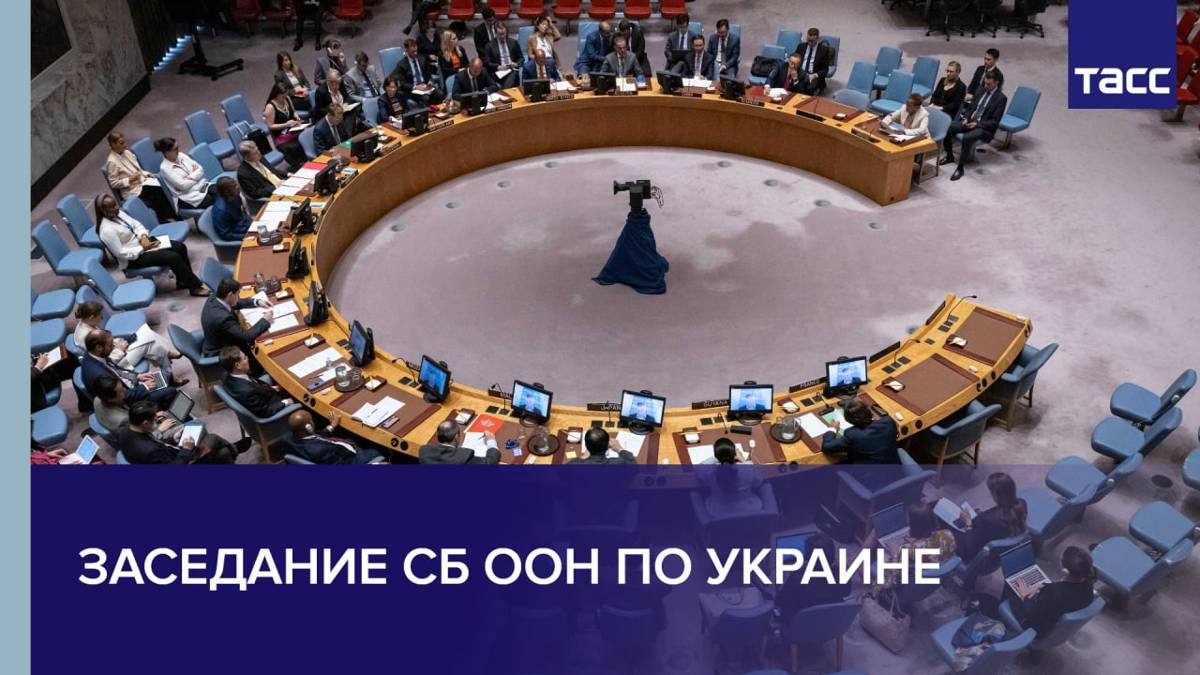 Заседание СБ ООН по Украине