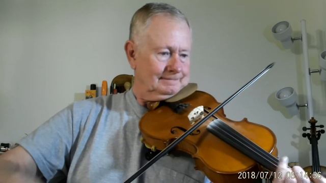 In the Garden Gliga violin Helicore strings