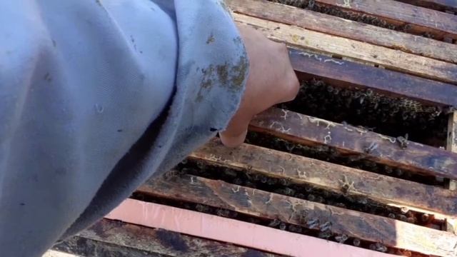 Упрощение содержания семей методом их сдваивания