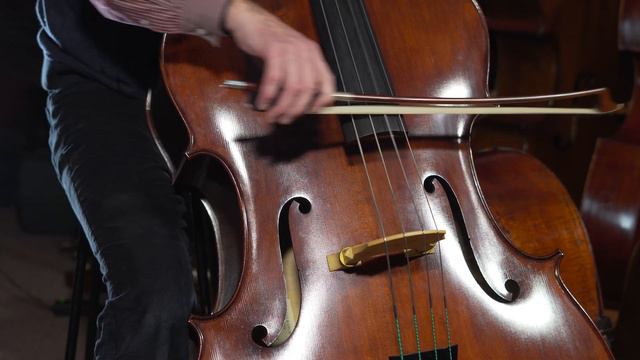David Daly Plays a Martin 4/4 Double Bass