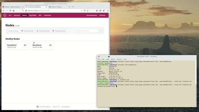 Easily Create a Nomad Cluster Locally with Multipass