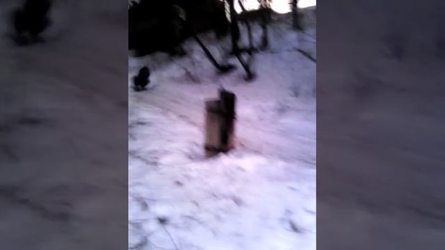 Не ездить без прав на самокате