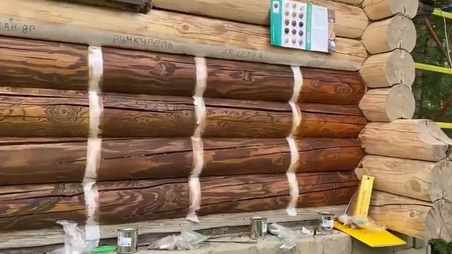 Примеры выкрасок краской венцов сруба по каталогу RAL