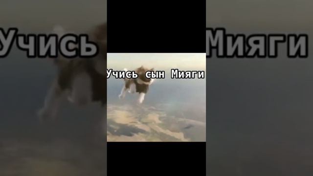 Учись сын Мияги