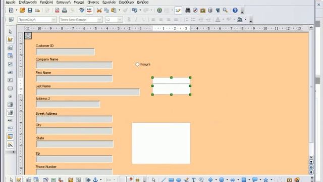 12 working with forms and records part 1