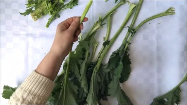 КАК ЧИСТИТЬ КРУПНЫЕ, кустовые РАПИНИ  - 2-я часть - взрослое растение (итальянская кухня)