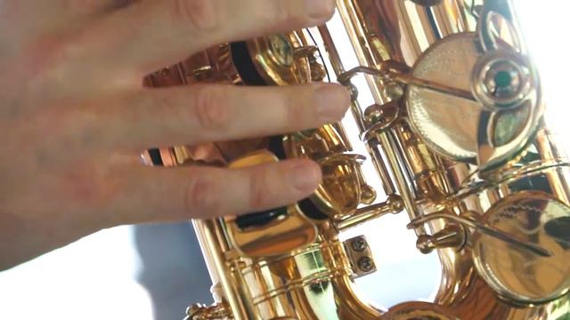 Саксофон  на свадьбу ! 🎷 В Краснодаре   Илья Готлиб