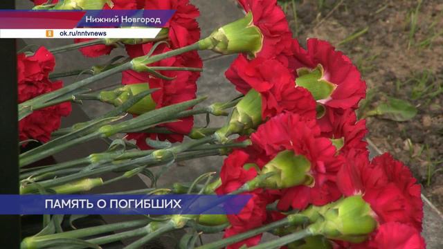 В Нижнем Новгороде открылась Аллея памяти в честь сотрудников СК РФ, погибших на СВО