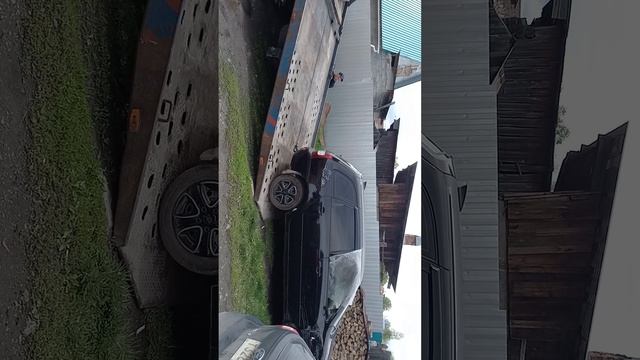калина продана