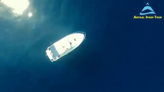 отель пимар бланес испания