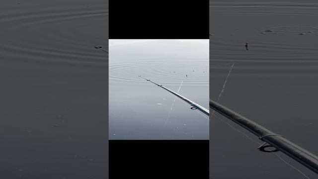 fishing.mp4