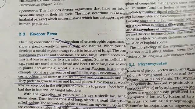 ASCOMYCETES: Quick Revision.