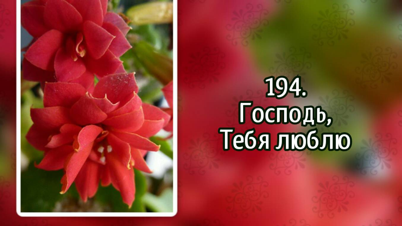 Гимны надежды 194 Господь, Тебя люблю (-)