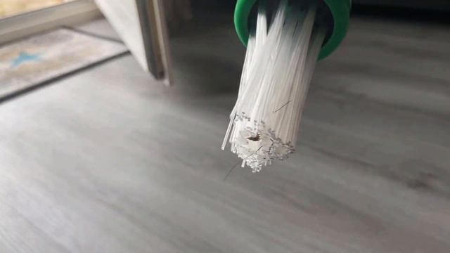 THEREFORE Spiders are NEVER AGAIN a Problem for you 😱 (GENIUS) ⚡️