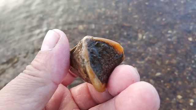 VID_20240801_203000.mp4